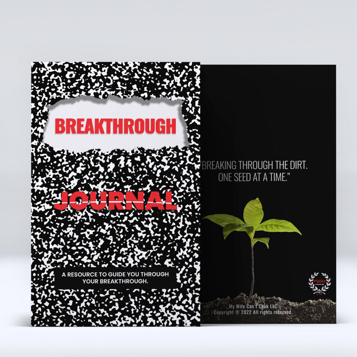 Breakthrough Journal